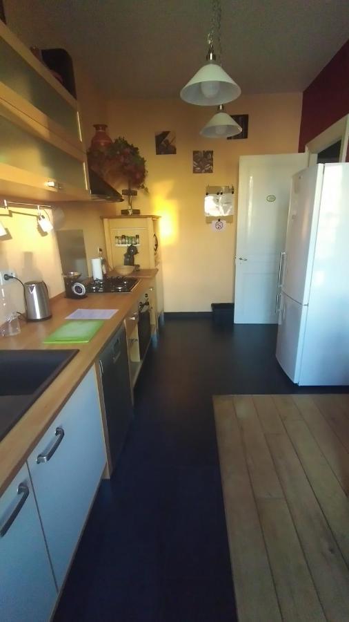 Ferienwohnung Le Grand Charpentier Mülhausen Exterior foto