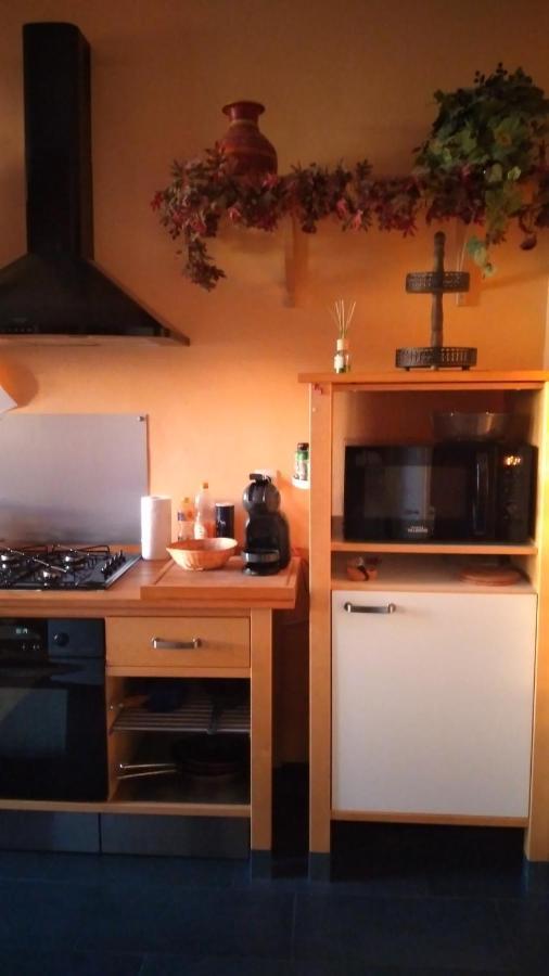 Ferienwohnung Le Grand Charpentier Mülhausen Exterior foto