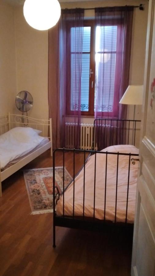 Ferienwohnung Le Grand Charpentier Mülhausen Exterior foto
