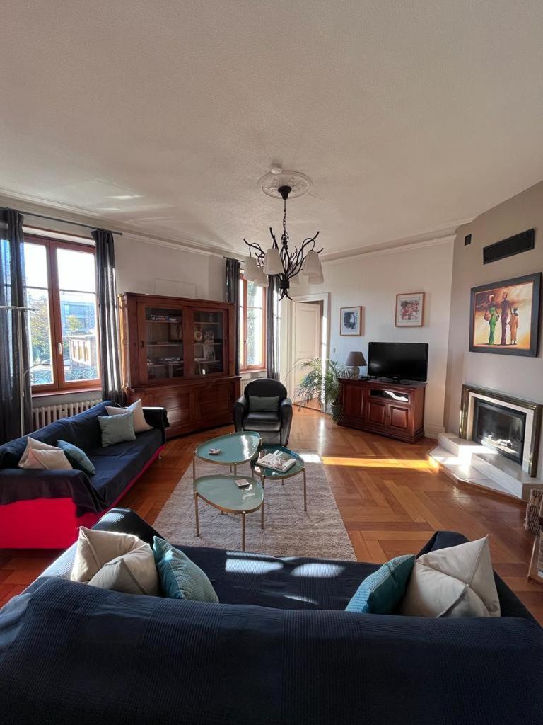 Ferienwohnung Le Grand Charpentier Mülhausen Exterior foto
