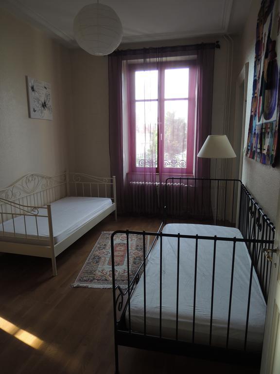 Ferienwohnung Le Grand Charpentier Mülhausen Exterior foto